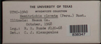 Image Associated With the Occurence